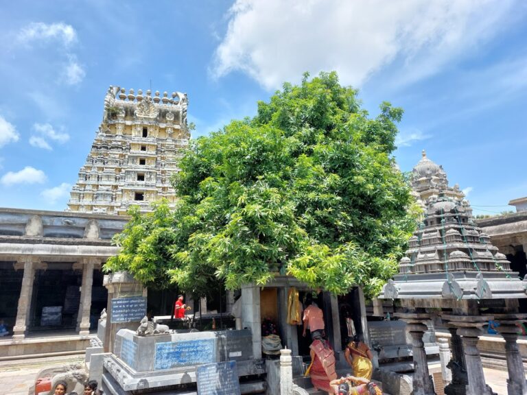 Ekambareswarar Temple: A Cultural Gem in Chennai